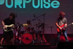 purpulse-2020-12